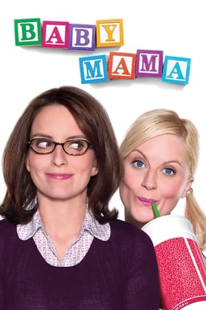 Baby Mama (2008) Dual Audio | Hindi Full Movie BluRay 300MB