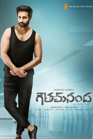 Goutham Nanda (2017) ( – Telugu) Dual Audio UnCut HDRip | Hindi Full Movie – 480p