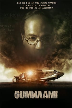 Gumnaami (2019) Movie | Hindi Full Movie HDRip x264 [1GB]