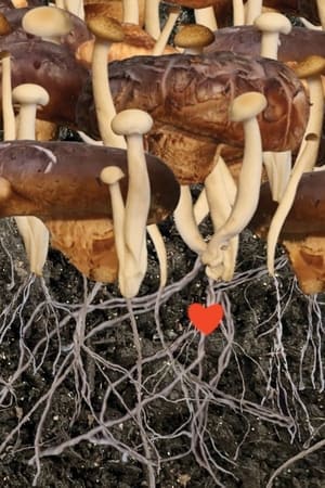 Heaven (2022) Movie HDRip | Hindi Full Movie – 480p