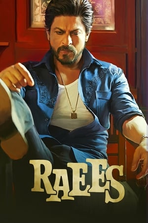 Raees 2017 Full Movie Bluray | Hindi Full Movie [1.2GB] Download