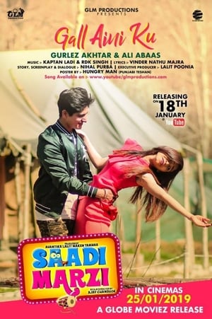 Saadi Marzi (2019) Punjabi Movie | Hindi Full Movie HDRip – [300MB]