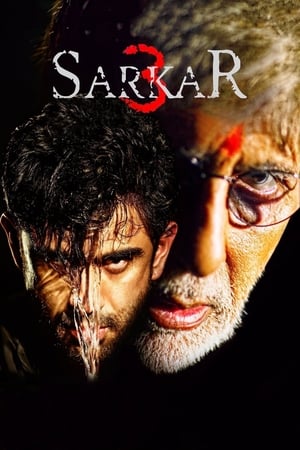 Sarkar 3 2017 Full Movie DVDRip | Hindi Full Movie [700MB] Download