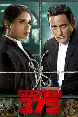 Section 375 (2019) Movie | Hindi Full Movie HDRip x264 [980MB]
