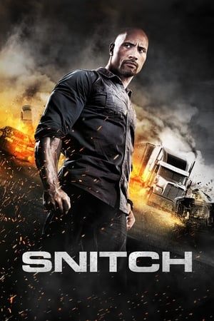 Snitch (2013) Dual Audio | Hindi Full Movie BluRay 350MB