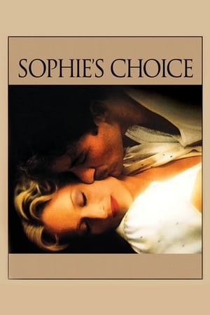Sophie's Choice (1982) Dual Audio Full Movie | Hindi Full Movie BluRay - 1.1GB