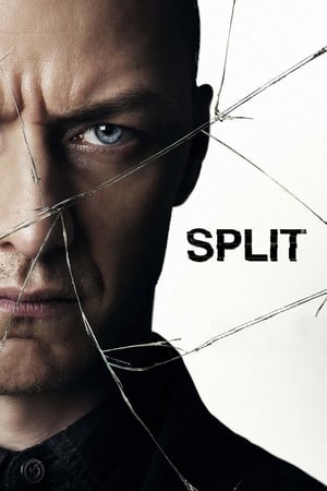 Split (2016) Dual Audio | Hindi Full Movie BluRay [1GB]