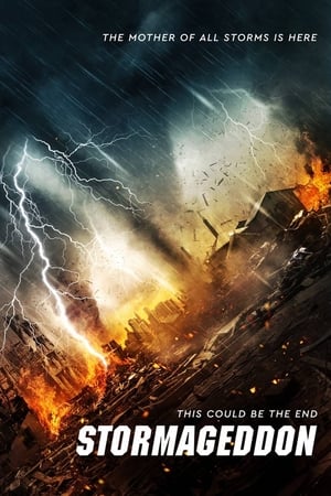 Stormageddon (2015) Dual Audio | Hindi Full Movie BluRay 290MB