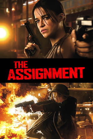 The Assignment (2016) Dual Audio | Hindi Full Movie BluRay [850MB]