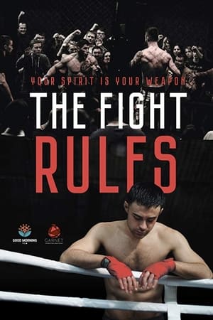The Fight Rules 2017 Dual Audio | Hindi Full Movie WebRip [730MB]