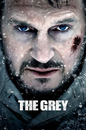 The Grey 2011 Dual Audio | Hindi Full Movie BluRay [830MB]
